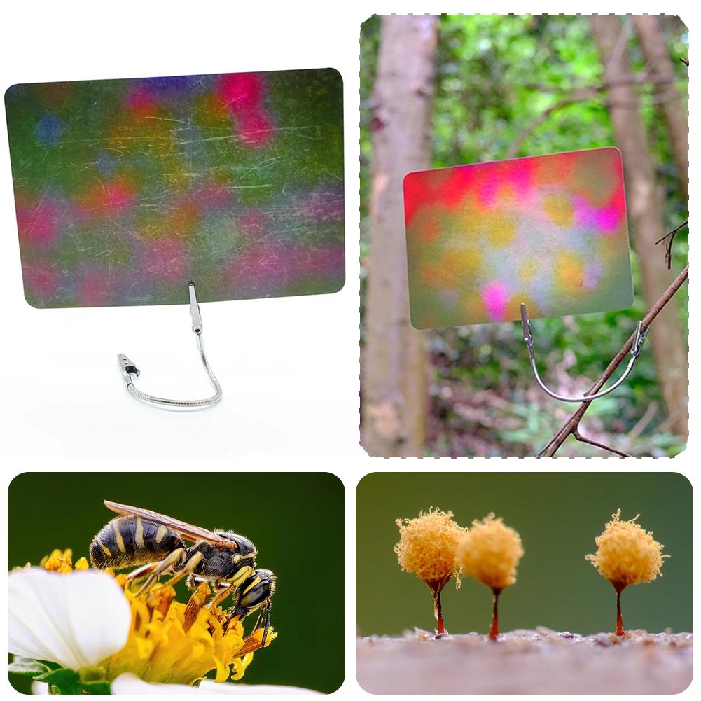 Macro Photography Background C - Photography Lighting Material recensie en prijs