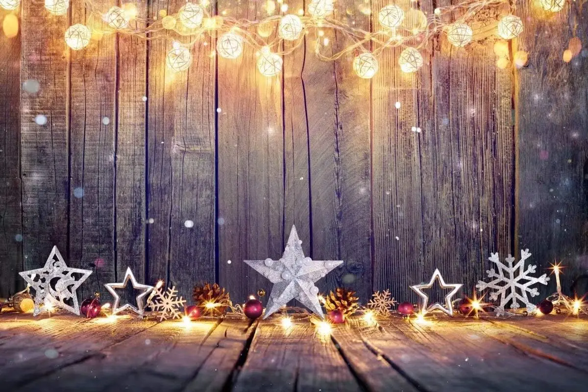 Christmas Backdrop Vintage Woo - Vintage Photography Lighting recensie en prijs